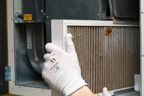 Best HVAC Duct Inspection Services  in Maple Park, IL