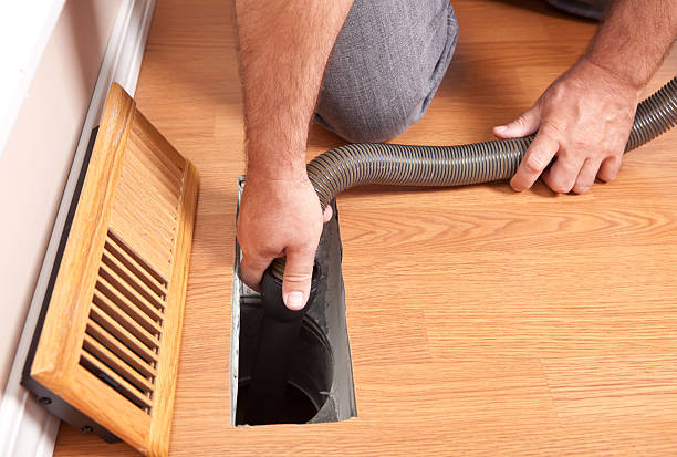 Best Home Air Vent Cleaning  in Maple Park, IL