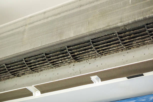 Best Commercial Air Duct Cleaning  in Maple Park, IL